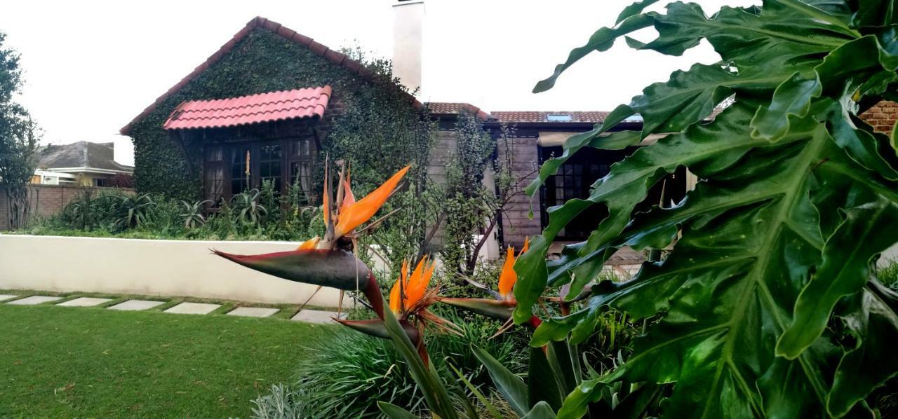 Gardenview Guest House พอร์ตเอลิซาเบธ ภายนอก รูปภาพ